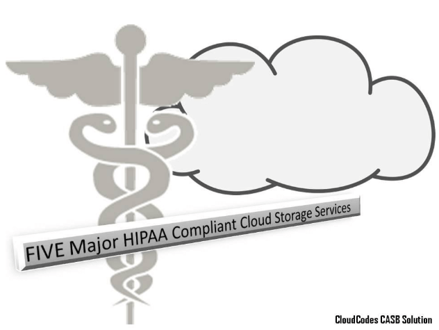 Hipaa Compliant Cloud Storage Dandk Organizer