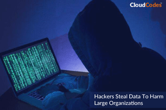 Hackers Steal Data - How CloudCodes CASB Solution Help To Overcome